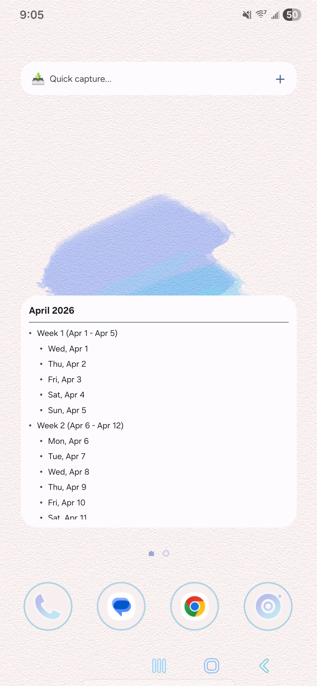 Quick capture screenshot